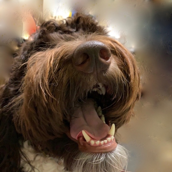 Meet your Posher, Christine - Picture 3 of 3